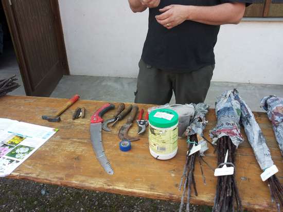 Outils pour greffage