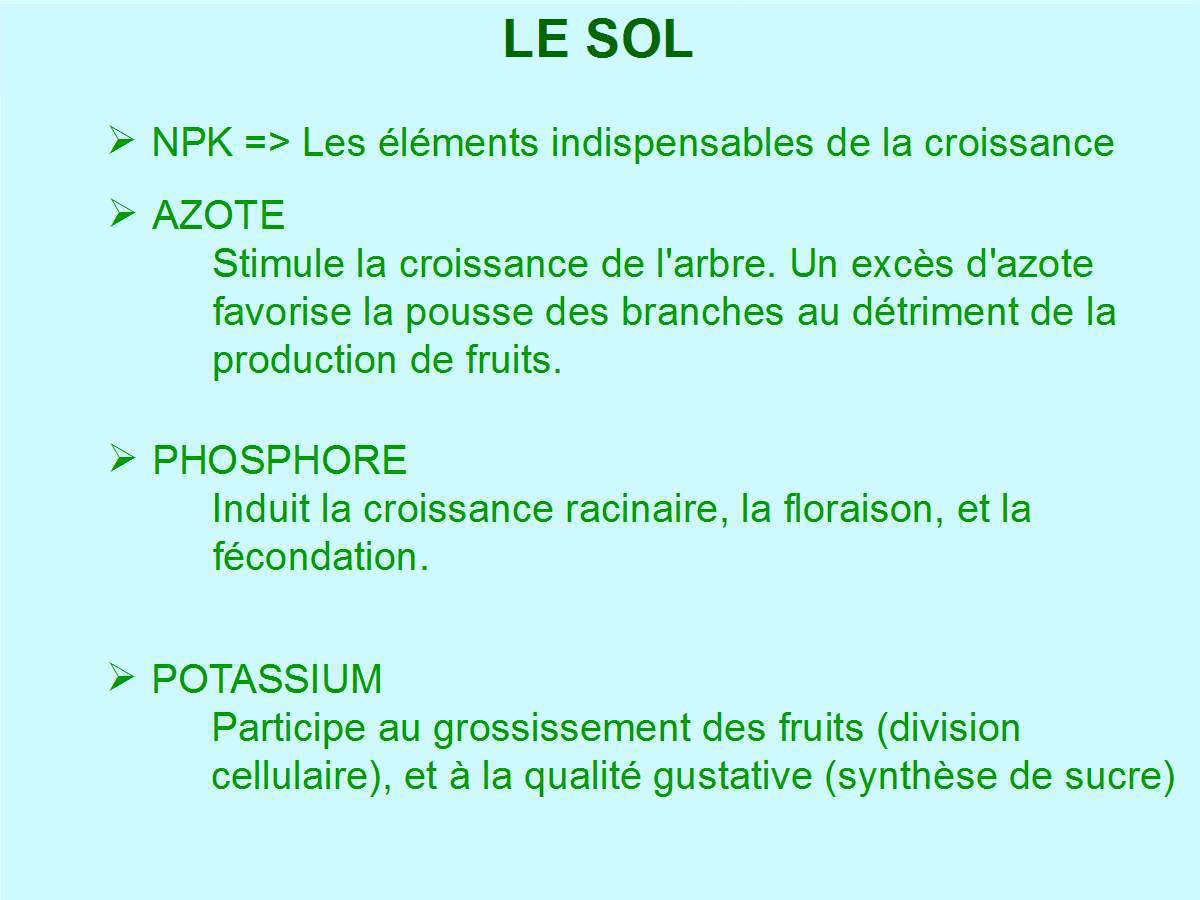 Diapo 1, le sol